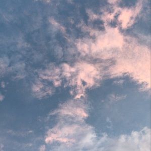 Meet your Posher, Eva